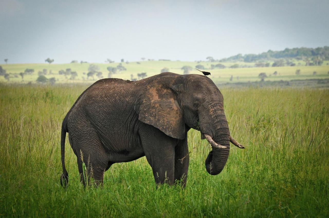 Apoka Safari LodgeLoitanit エクステリア 写真