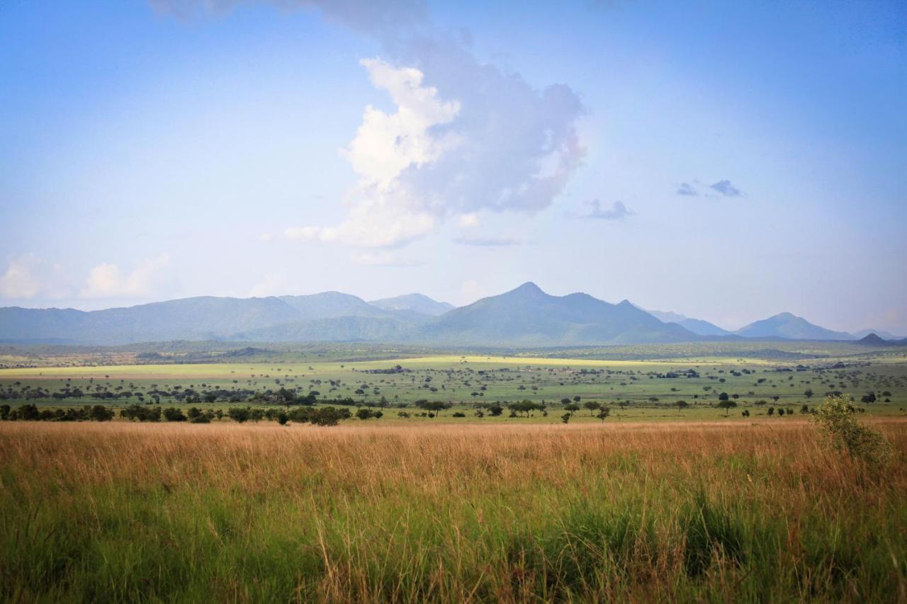 Apoka Safari LodgeLoitanit エクステリア 写真